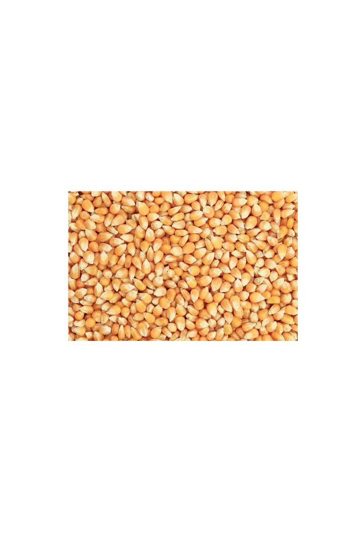 Mais- 400 gram
